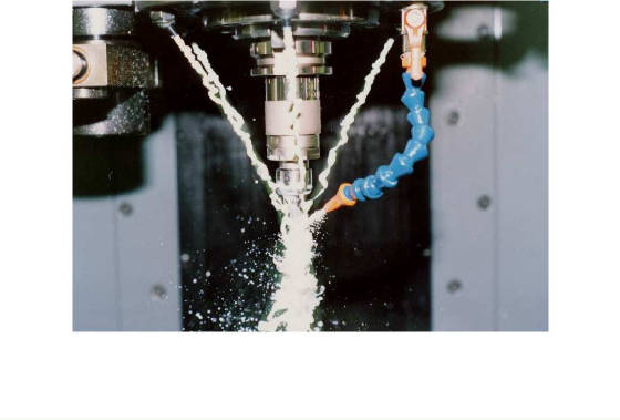 scan-18.jpg